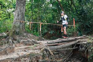 BIB: 
                            <button type="button" onclick="openModal(27803769)" class="btn btn-primary btn-sm float-right btn-popup" data-toggle="modal" data-target=".modal-high-quality">
                        <i class="fas fa-shopping-cart"></i> Add to Cart
                    </button>
                                            <button type="button" onclick="isThisMe(27803769, true)" class="btn btn-success btn-sm float-right btn-popup btn-isme hidden" data-toggle="tooltip" data-placement="bottom" title="นี่คือรูปของคุณใช่ไหม คลิกที่นี่เพื่อเอาเข้าอัลบั้ม">
                        <i class="fas fa-plus"></i> Add to album
                    </button>
                    <button type="button" onclick="isThisMe(27803769, false)" class="btn btn-warning btn-sm float-right btn-popup btn-isnotme hidden">
                        <i class="fas fa-ban"></i> Remove from album
                    </button>